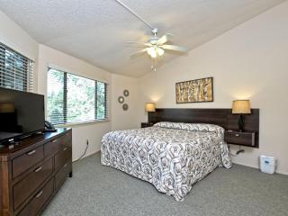 Lakefront Bungalow - Community Poolhot Tub #11 - Lakeway - 2