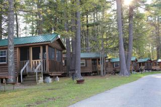 Alpine Lake Lakefront Cabin 5 - South Corinth - 3