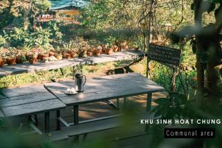 Cú Trên Cây Homestay - 5