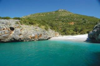 Le Rose - Marina di Camerota - 2