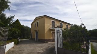 Le Rose - Marina di Camerota - 5
