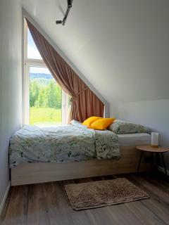 Domki Szychówka - 2