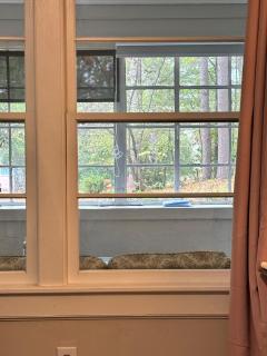 Pine Haven Getaway -Crib, Pets Welcome, Perfect for Families & Groups - 2