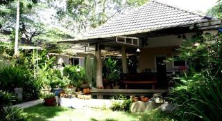 Rommai Rimnaam Resort - Ranong - 6