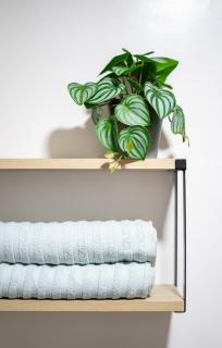 Cozy & Homey 3-Bedroom - 8