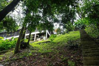 LilyJoe Treehouse Serendah - 4