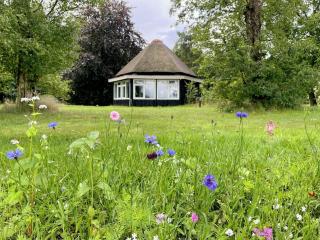 Eco Lodge Drenthe - 0