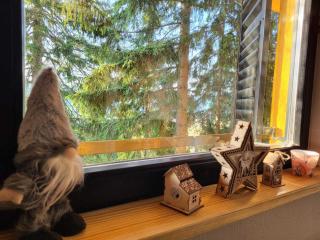 Friends 2 Vlašić - Vlasic - 4