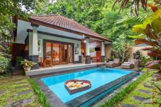 Ubud Suarga Private Pool Villa - Ubud - 9