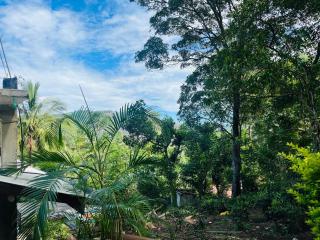 Ella Mint Homestay - 1