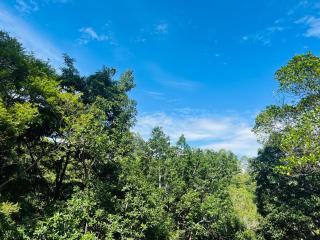 Sun Rays View Homestay - Ella - 1
