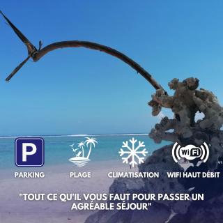 Les zoizeaux- T2 à 100m de la plage de l'ermitage - 0