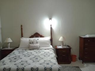 Queen Room in Kingston - Kingston - 4