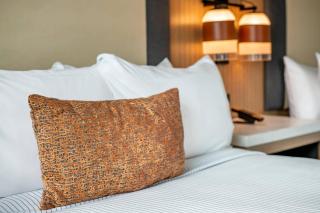 Cambria Hotel Austin Downtown - 8