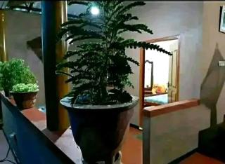 SOCUND HoME GEST HOWSE - 3