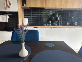 Enduro Spot - Apartament pod Kozią Górą - Bielsko-Biała - 9