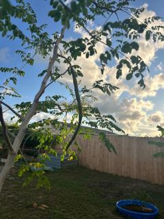 Charming 2 BDR House Close to Beaches & Shopping - 1