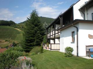 Landhaus Schoenen - 5