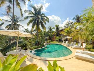 Kelingking Tropical - 8