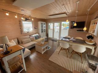 Hausboot Walfisch mit Dachterrasse in Schleswig an der Schlei - 7