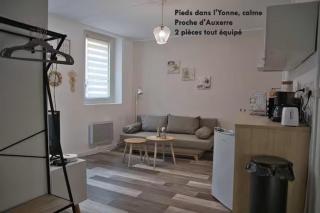Charmant deux pièces lumineux au cœur de Joigny - Zen 1 - Joigny - 8