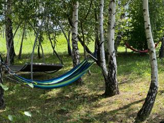 Brzozowy Zagajnik - 9