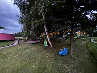 Brzozowy Zagajnik - 4