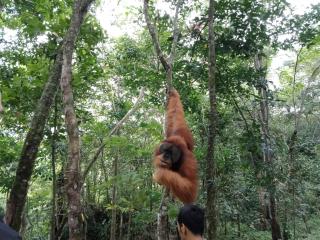 Jungle house and treking - 3