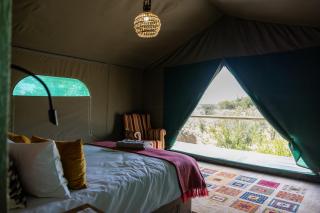 AfriCam Safari lodge - 2