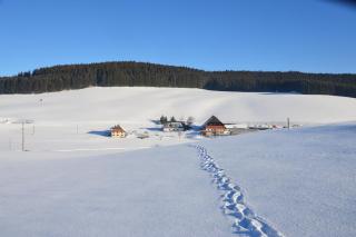 Ferienwohnungen Wendelhof - - 9