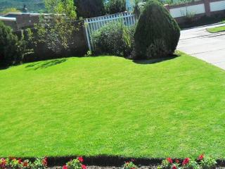 Khol Newman Bed & Breakfast - 8