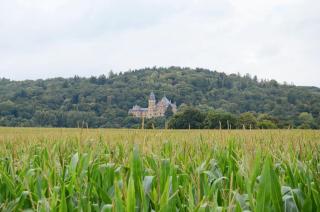 Ferienwohnung Storchenblick - Grebendorf - 6