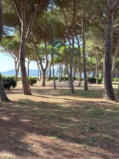 Mer Soleil Pinede - 8