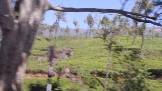 Hill stay - 1