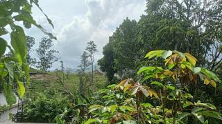 Freedom camp Ella - 1