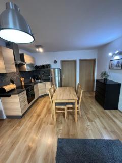 Apartment Loft Fifteen - Dunajská Streda - 8