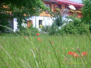 Ferienhof Gold - Waischenfeld - 1