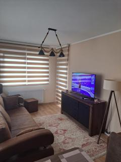Apartman Banja Koviljaca I - Banja Koviljača - 9