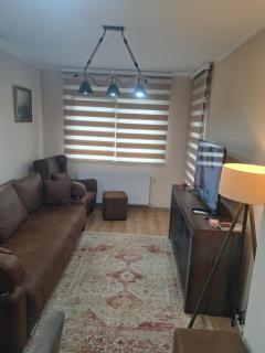 Apartman Banja Koviljaca I - Banja Koviljača - 7