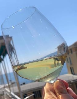 WELCOME RIVIERA-Primavera 1A- Vista mare- spazioso e comodo appartamento-2 bagni-wifi-aria condizionata in ogni stanza-garage a pagamento 15 euro al giorno - 4