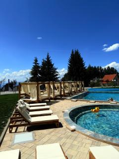 Woodland B65 Residence Hill Kopaonik - Kopaonik - 4