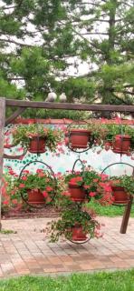 Etno apartman - 6