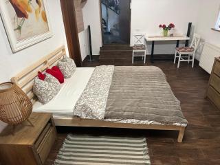 Ultracentral Apartment - Arad - 8