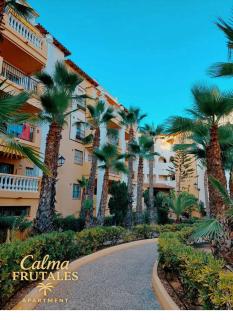 Calma FRUTALES Apartment - 2