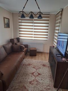 Apartman Banja Koviljaca I - Banja Koviljača - 6