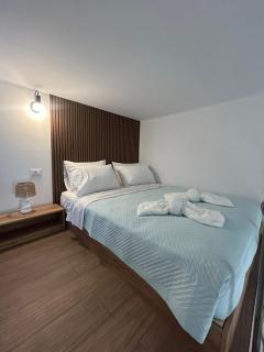 Agelica Studio - 0