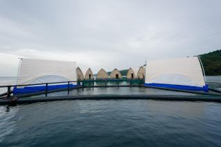 Reef Resort - Samal Island View Unit B8 - Kaputian - 2
