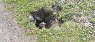 Appartement exceptionnel à Villar d'Arêne - 2