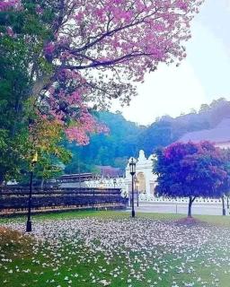 The Nap Station Kandy - 4