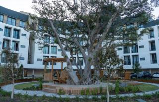 ON PARK 317 LUXURY APARTMENT CENTURY CiTY - 3